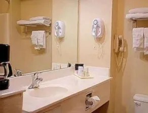Super 8 by Wyndham Irving/DFW Apt/North - Salle de bain