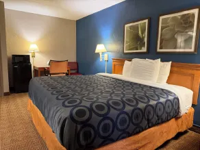 Townhouse Garden Inn & Suites San Antonio I 35 - Room