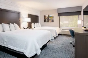 Hampton Inn Durango - Chambre