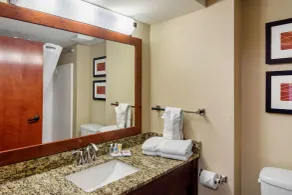 Comfort Inn & Suites LaGrange East - Salle de bain