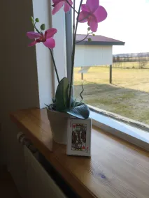 South Central Country-Apartment - Udsigt fra værelset