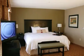 Hampton Inn & Suites Chicago/St. Charles - Chambre