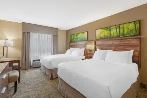 Best Western Plus Valemount Inn & Suites - Chambre