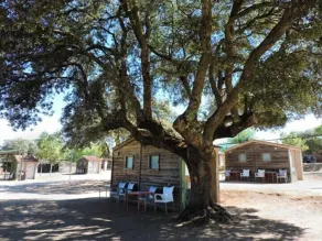 Hostal - Bungalows Camping Cáceres - Værelse