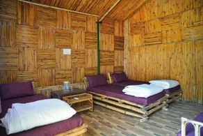 Cradle of Life - Chambre
