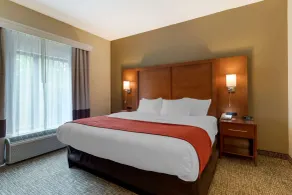 Comfort Suites Kingsport South - Chambre