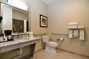 Comfort Suites Greenville - Bad