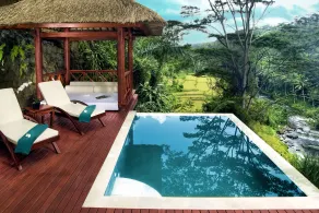Kupu Kupu Barong Villas and Tree Spa - View from room