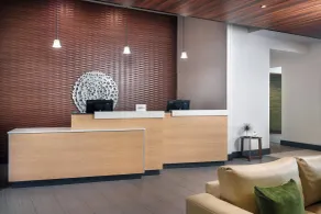Fairfield Inn & Suites by Marriott Asheville Airport/Fletcher - Réception