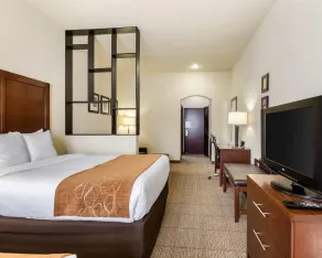Comfort Suites near NASA - Clear Lake - Chambre