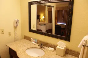 Hampton Inn & Suites Grenada - Salle de bain