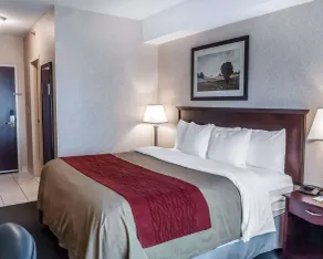 Comfort Inn - Room