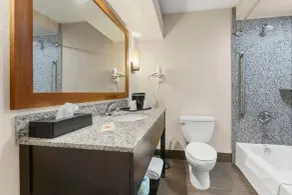 Comfort Inn Lehigh Valley West - Salle de bain