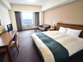 Star Gate Hotel Kansai Airport - Camera