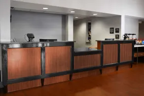Hampton Inn & Suites Houston Medical Center NRG Park - Reception