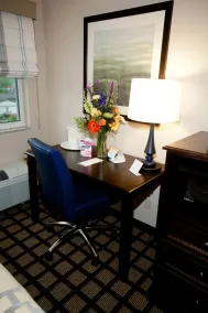 Baymont by Wyndham Erie - Vue de la chambre