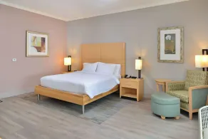Hilton Garden Inn Denton - Chambre
