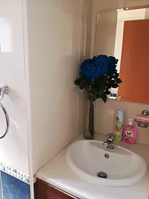 Luxury Apartment, Ideal for Short Lets, Staycations Vacations - Bathroom