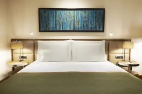 Divan Adana - Habitación