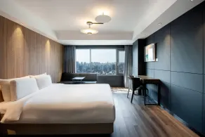Eliena Hotel Seoul Gangnam - Vista dalla camera