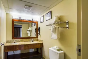 Comfort Inn Cleveland Downtown - Salle de bain