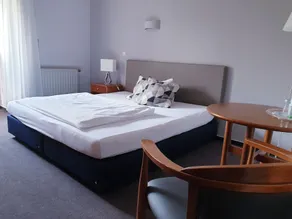 Hotel Moritz an der Elbe - Room
