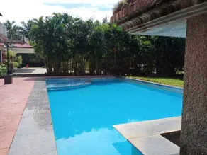 Arnala Beach Resort - Pool