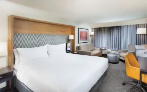 Holiday Inn Asheville East-Blue Ridge Pkwy by IHG - Værelse