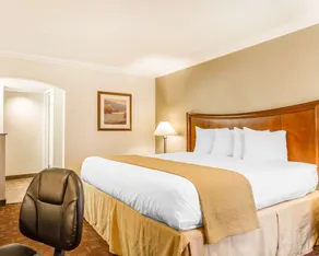 Quality Inn Sacramento Convention Center - Chambre