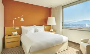 InterContinental Genève by IHG - Vue de la chambre