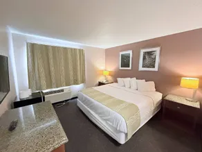 Bison Inn & Suites on University - Chambre