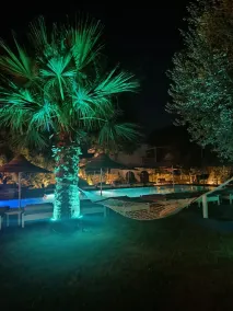 Casa Trees Boutique Hotel Adults only - Piscine