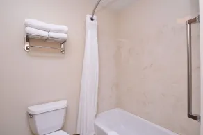 Holiday Inn Express Hotel & Suites Sioux Falls At Empire Mall by IHG - Bagno