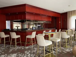 Le Domaine de La Tremblère - Bar (en el alojamiento)