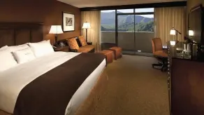 The Park Vista - a DoubleTree by Hilton Hotel - Gatlinburg - Chambre