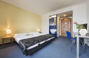 See- und Seminarhotel FloraAlpina Vitznau - Room