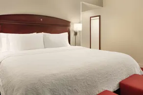 Hampton Inn & Suites Madison-West - Habitación