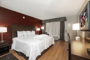 Red Roof Inn PLUS+ St. Augustine - Chambre