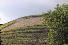 Weingut Sonnenberg - Utsikt fra rommet