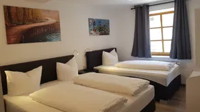 City House Alpeneck - Room