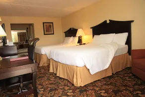 Plaza Inn Midland - Chambre