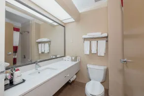 Red Roof Inn & Suites Macon - Badeværelse