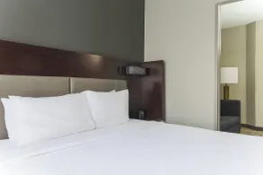 SpringHill Suites by Marriott Austin Parmer/Tech Ridge - Rum