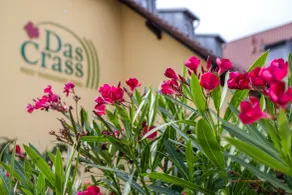Das Crass - Reception