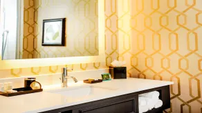 Hotel Indigo - Kansas City Downtown by IHG - Salle de bain