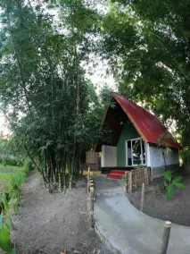 Pobitora Villge Eco Camp By GRB - Room