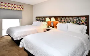 Hampton Inn Santee-I-95 - Chambre