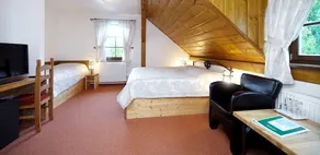 Wellness Hotel Holzberg - krytý relaxační bazén, dětský bazén, whirlpool, sauna, restaurace, bowling, venkovní hřiště, herna, pingpong, billiard - Room