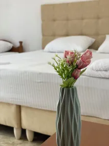 BLUE WAVES - Room