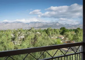 Embassy Suites by Hilton Tucson East - View from room